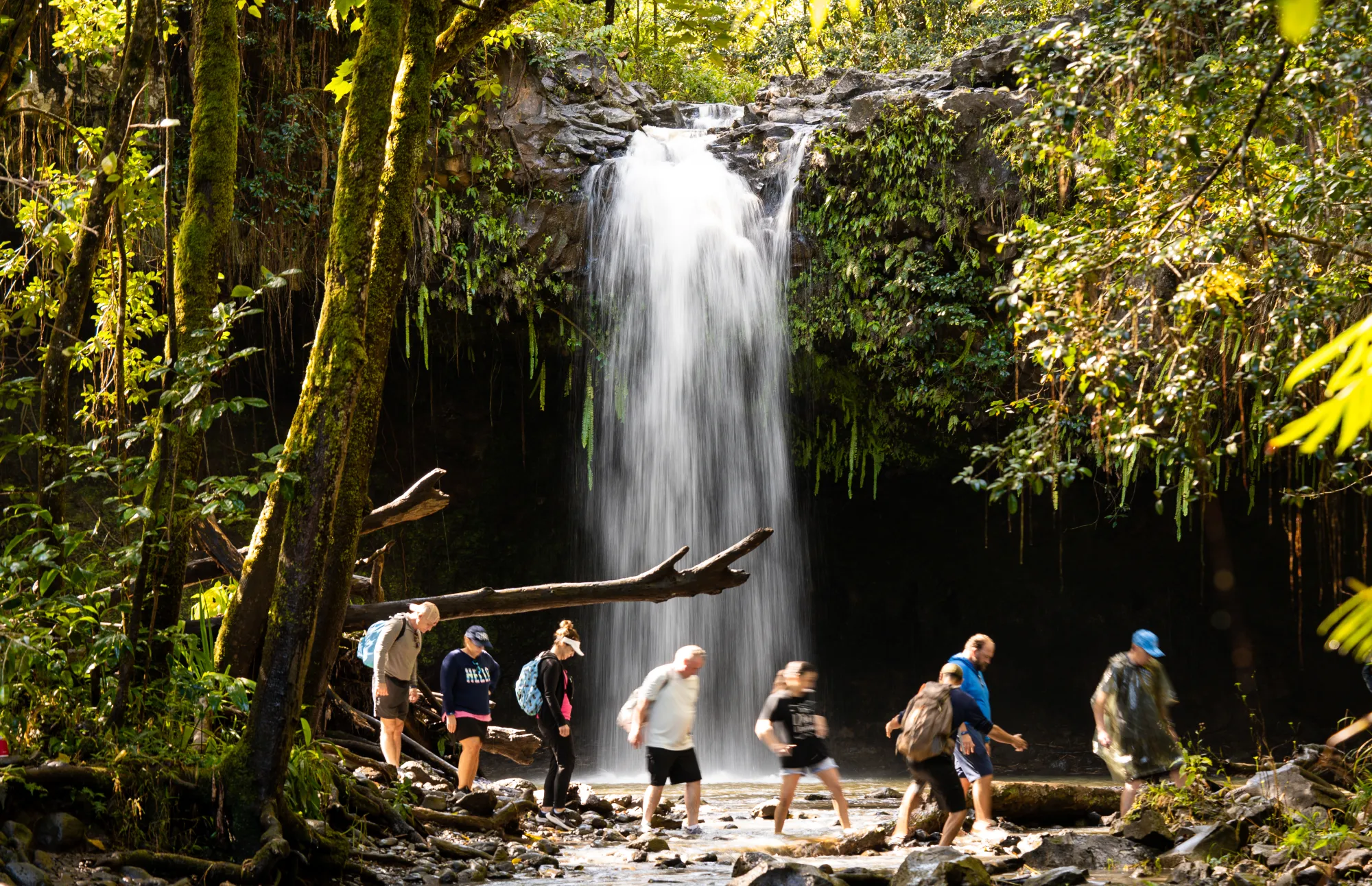 Waterfall & Rainforest Hike — South Maui Hotel Transfers photo