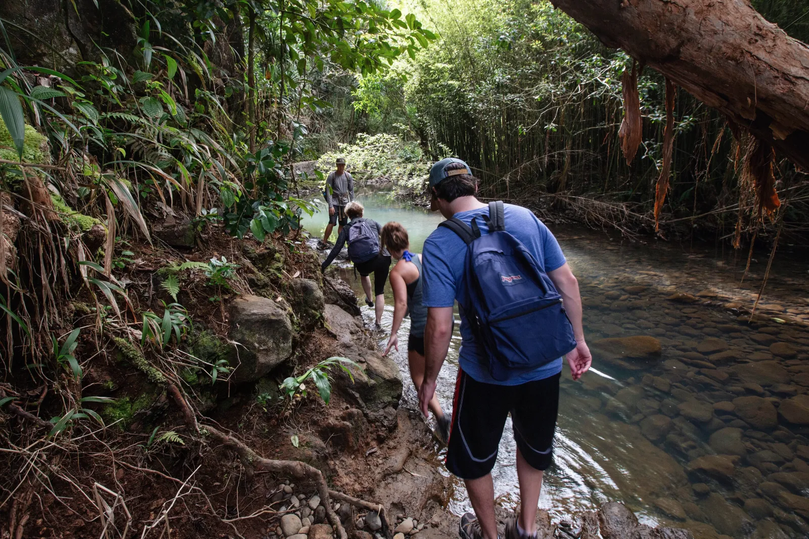 Waterfall & Rainforest Hike — South Maui Hotel Transfers photo