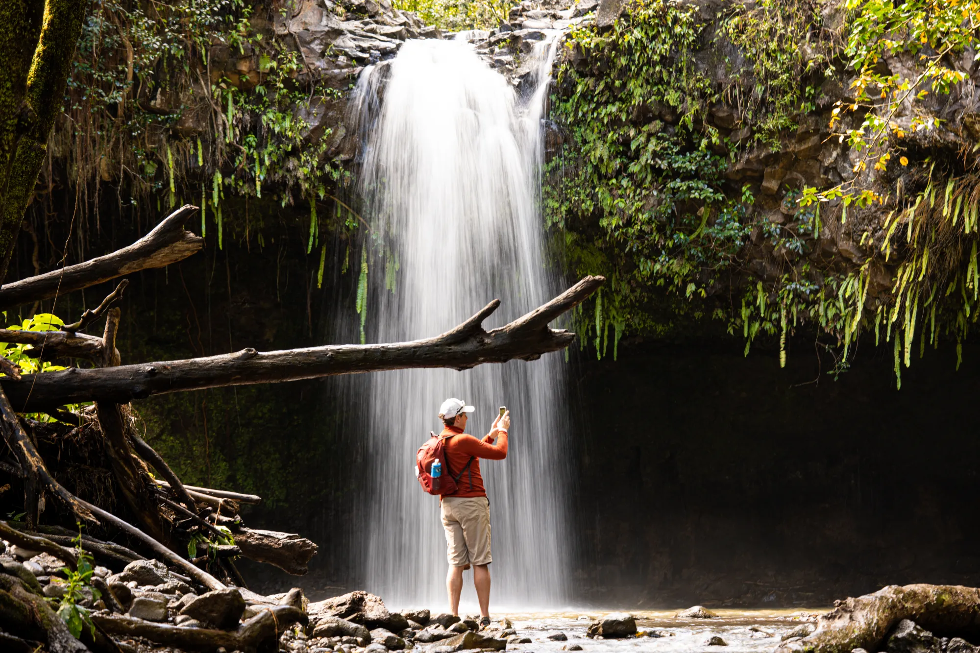 Waterfall & Rainforest Hike — South Maui Hotel Transfers photo