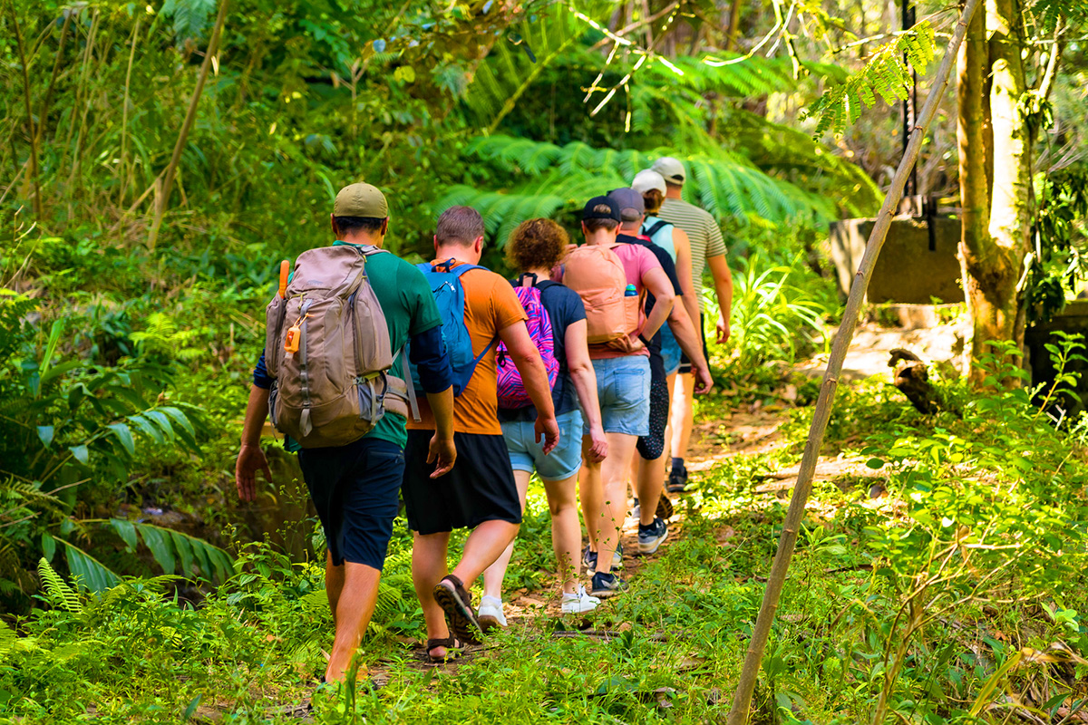 Maui Rainforest And Waterfall Hike Adventure With Local Guides 